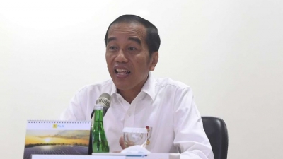 Menurut Istana, Ini yang Buat Jokowi Marah kepada Dirut PLN