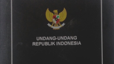 Komentar Dewan, Lebih Baik Revisi UU ASN Dibanding P3K