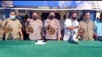 Polairud Polda Sumut Amankan Ratusan Belangkas Teriring Tersangka