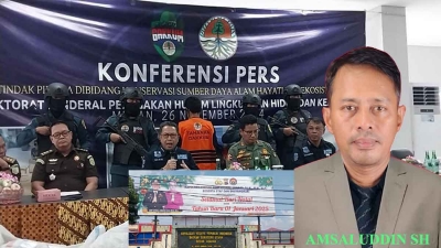 Sisik Trenggiling Senilai 44 Miliar Diduga Ada Libatkan Aparat Diminta Proses Hukum Segera Ditangani Mabes Polri dan TNI-AD