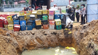 Polda Sumut Amankan Truk Pengangkut Mangga Ilegal Asal Thailand