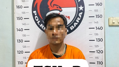 Polres Batu Bara Ungkap Kasus Peredaran Sabu Di Perkebunan Kelapa Sawit