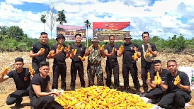 Program Swasembada Pangan Nasional, Brimob Polda Sumbar Lakukan Penanaman Jagung