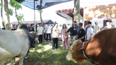 Polda Sumut Salurkan Ribuan Paket Daging Kurban Untuk Masyarakat Di Hari Raya Iduladha 1446 H