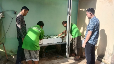 Dukung Ketahanan Pangan Nasional Warga Binaan Lapas Narkotika Pangkalpinang Tanam Sawi Green Sistem Hidroponik