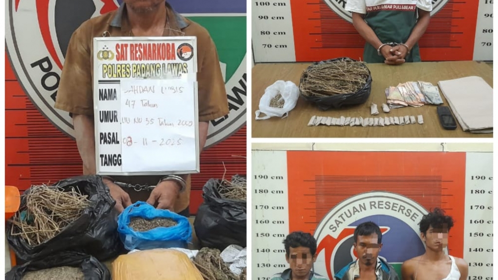 Polres Padang Lawas Ungkap Jaringan Ganja Antar Desa, Bandar Dan Pengedar Ditangkap