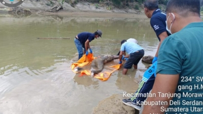 Gegerkan Warga Tanjung Morawa, Penemuan Mayat di Sungai Blumai Identitas Terungkap Ada Tulisan di Tangan