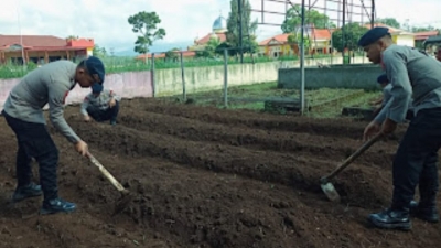 Program Ketahanan Pangan Manfaatkan Dari Lahan Kosong, Brimob Polda Sumut, Kembangkan P2Ldi Batalyon C