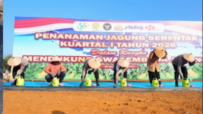 Penanaman Jagung Serentak Kwartal I Tahun 2026, Polda Sumut Dukung Ketahanan Pangan Nasional